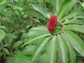 Seychelles Honeymoon-37.JPG