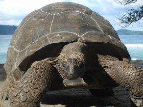 Seychelles Honeymoon-45.JPG