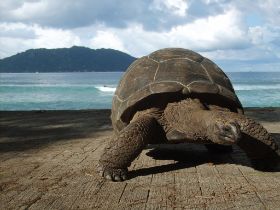 Seychelles Honeymoon-46.JPG