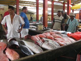 Seychelles Honeymoon-55.JPG