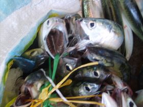 Seychelles Honeymoon-57.JPG