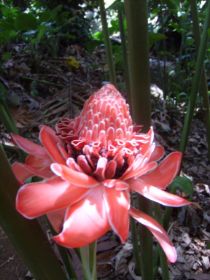 Seychelles Honeymoon-61.JPG