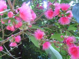 Seychelles Honeymoon-63.JPG